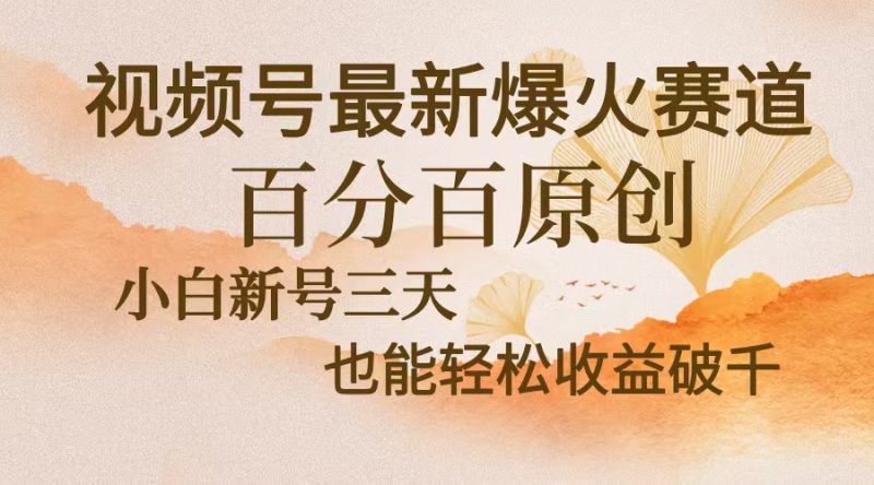 视频号最新爆火赛道，中老年粉深信不疑，百分百原创，新号三天收益轻松…-云创智库
