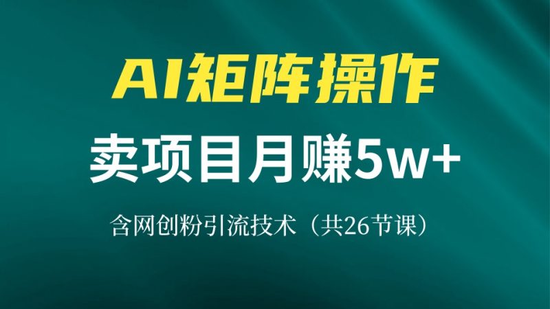网创IP打造课，借助AI卖项目月赚5万+，含引流技术(共26节课-云创智库