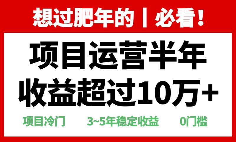年前过肥年的必看的超冷门项目，半年收益超过10万+，-云创智库