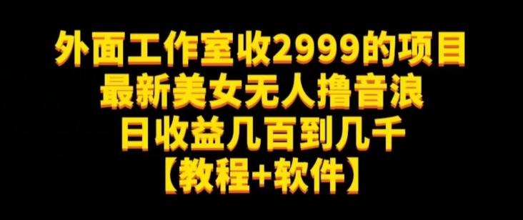 外面工作室收2999的项目最新美女无人撸音浪日收益几百到几千【教程+软件】（仅揭秘）-云创智库