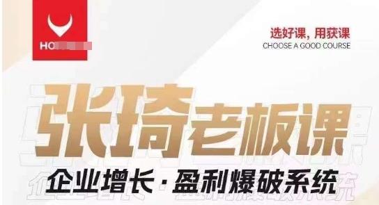 【组合课】张琦张琦老板企业增长·盈利爆破系统（直播专享）-云创智库