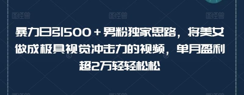 暴力日引500＋男粉独家思路，将美女做成极具视觉冲击力的视频，单月盈利超2万轻轻松松-云创智库