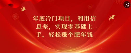 年底冷门项目，利用信息差，实现零基础上手，轻松赚个肥年钱【揭秘】-云创智库
