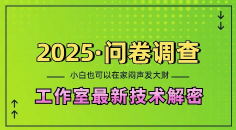 2025问卷调查最新工作室技术解密：一个人在家也可以闷声发大财，小白一天2张，可矩阵放大【揭秘】-云创智库