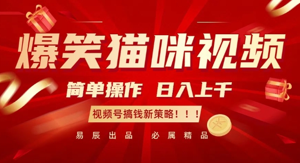 爆笑猫咪视频：简单操作，日入过K，视频号搞钱新策略【揭秘】-云创智库