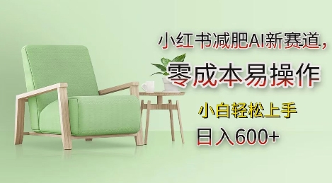 小红书减肥AI新赛道，零成本易操作，日入多张，小白轻松上手【揭秘】-云创智库