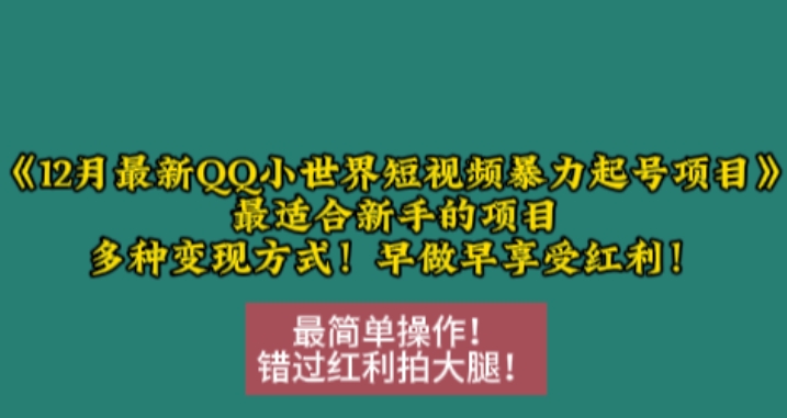 12月最新QQ小世界短视频暴力起号项目，最适合新手的项目，多种变现方式-云创智库