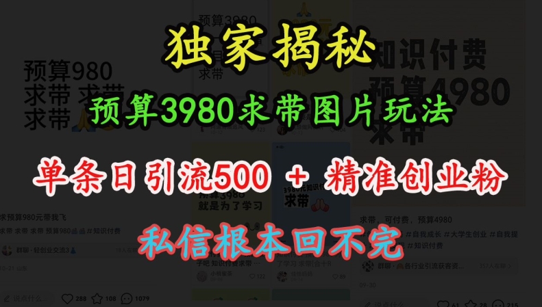 预算3980求带 图片玩法，单条日引流500+精准创业粉，私信根本回不完-云创智库