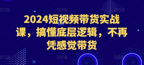 2024短视频带货实战课，搞懂底层逻辑，不再凭感觉带货-云创智库