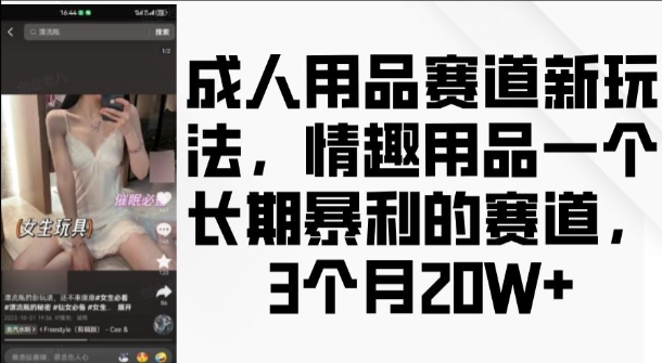 成人用品赛道新玩法，情趣用品一个长期暴利的赛道，3个月收益20个【揭秘】-云创智库