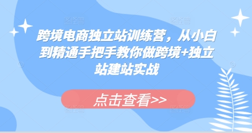 跨境电商独立站训练营，从小白到精通手把手教你做跨境+独立站建站实战-云创智库