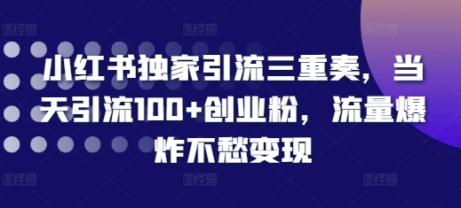 小红书独家引流三重奏，当天引流100+创业粉，流量爆炸不愁变现【揭秘】-云创智库