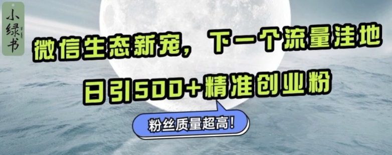 微信生态新宠小绿书：下一个流量洼地，日引500+精准创业粉，粉丝质量超高-云创智库