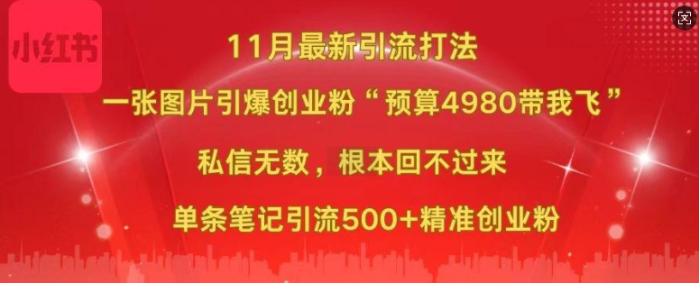 小红书11月最新图片打粉，一张图片引爆创业粉，“预算4980带我飞”，单条引流500+精准创业粉-云创智库