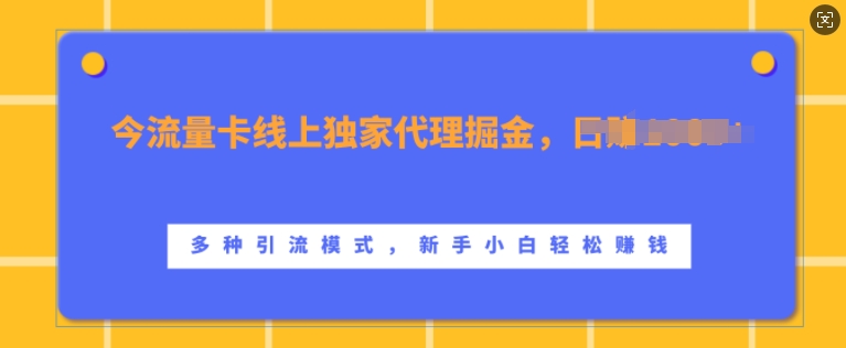 流量卡线上独家代理掘金，日入1k+ ，多种引流模式，新手小白轻松上手【揭秘】-云创智库