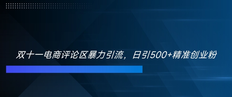 双十一电商评论区暴力引流，日引500+精准创业粉【揭秘】-云创智库