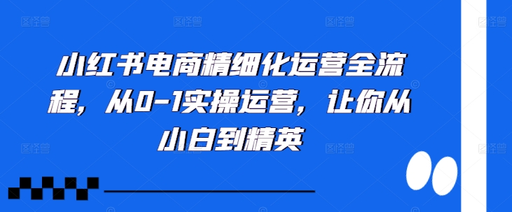 小红书电商精细化运营全流程，从0-1实操运营，让你从小白到精英-云创智库