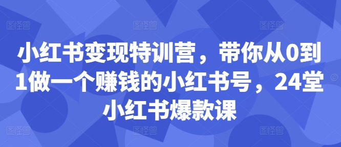 小红书变现特训营，带你从0到1做一个赚钱的小红书号，24堂小红书爆款课-云创智库