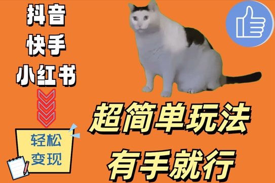 超简单玩法，有手就行，靠猫咪视频日入500+【揭秘】-云创智库