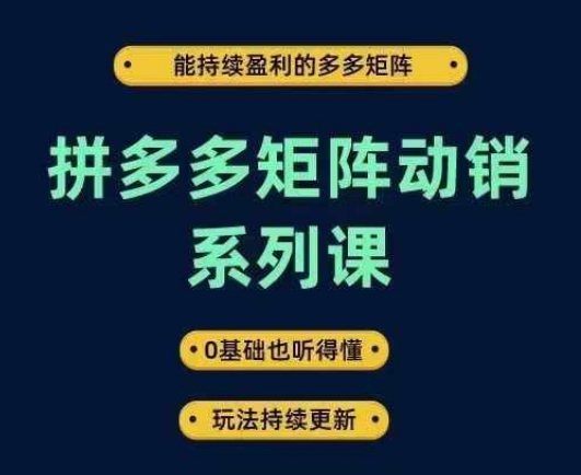 拼多多矩阵动销系列课，能持续盈利的多多矩阵，0基础也听得懂，玩法持续更新-云创智库