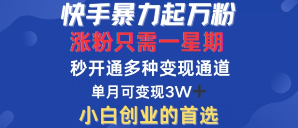 快手暴力起万粉，涨粉只需一星期，多种变现模式，直接秒开万合，单月变现过W【揭秘】-云创智库