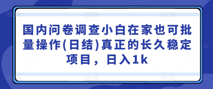 国内问卷调查小白在家也可批量操作(日结)真正的长久稳定项目，日入1k【揭秘】-云创智库