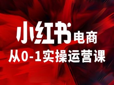 小红书电商从0-1实操运营课，让你从小白到精英-云创智库