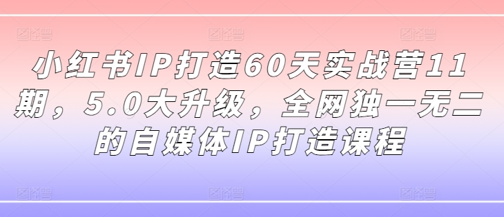 小红书IP打造60天实战营11期，5.0大升级，全网独一无二的自媒体IP打造课程-云创智库