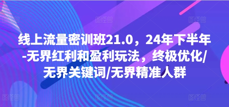 线上流量密训班21.0，24年下半年-无界红利和盈利玩法，终极优化/无界关键词/无界精准人群-云创智库