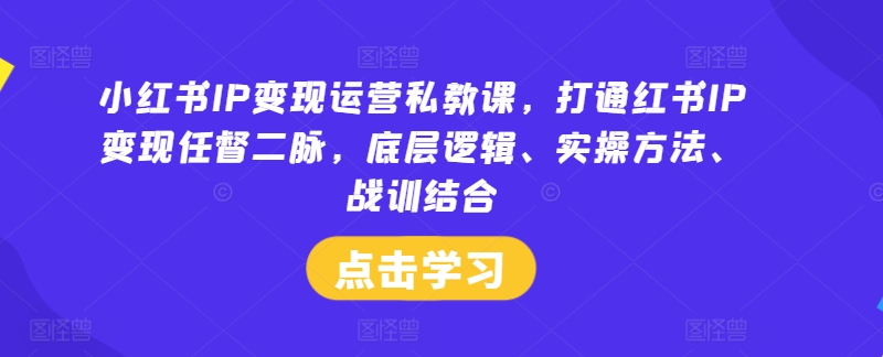 小红书IP变现运营私教课，打通红书IP变现任督二脉，底层逻辑、实操方法、战训结合-云创智库