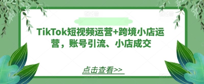 TikTok短视频运营+跨境小店运营，账号引流、小店成交-云创智库
