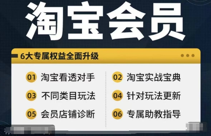 淘宝会员【淘宝所有课程，全面分析对手】，初级到高手全系实战宝典-云创智库