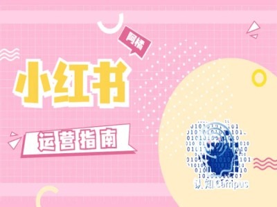 小红书运营指南，没有套路，全是经验-云创智库
