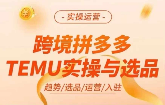 跨境拼多多TEMU实操与选品，多多temu跨境选品运营实操-云创智库