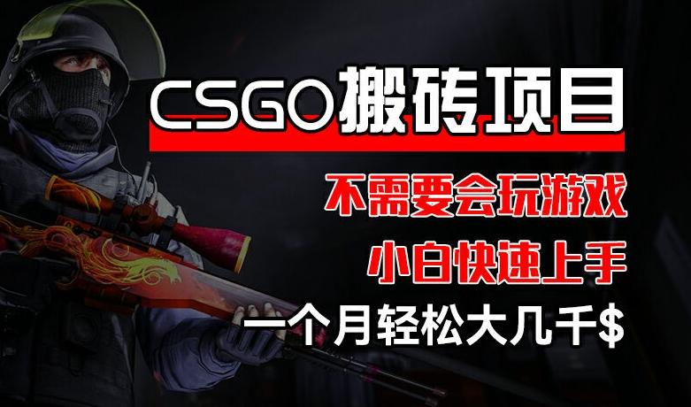 CSGO 装备搬砖项目，操作简单，不需要会玩游戏，小白也能快速上手，一个月轻松大几千【揭秘】-云创智库