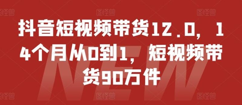 抖音短视频带货12.0，14个月从0到1，短视频带货90万件-云创智库