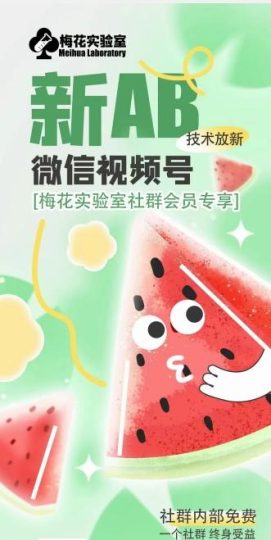 梅花实验室2024年AB技术视频号AB合成破解版-云创智库