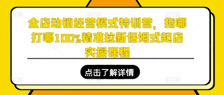 全店动销经营模式特训营，指哪打哪100%精准拉新保姆式起店实操课程-云创智库
