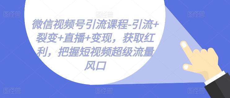 微信视频号引流课程-引流+裂变+直播+变现，获取红利，把握短视频超级流量风口-云创智库