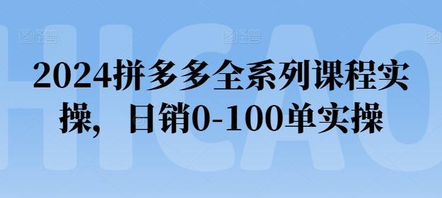 2024拼多多全系列课程实操，日销0-100单实操【必看】-云创智库