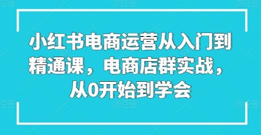 小红书电商运营从入门到精通课，电商店群实战，从0开始到学会-云创智库