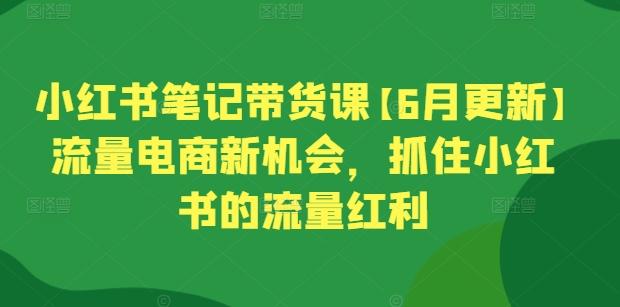 小红书笔记带货课【6月更新】流量电商新机会，抓住小红书的流量红利-云创智库