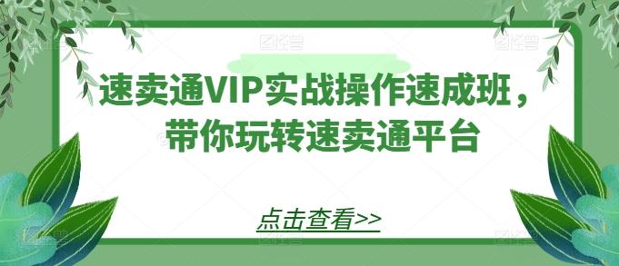 速卖通VIP实战操作速成班，带你玩转速卖通平台-云创智库