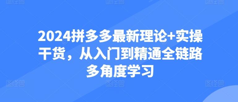 2024拼多多最新理论+实操干货，从入门到精通全链路多角度学习-云创智库