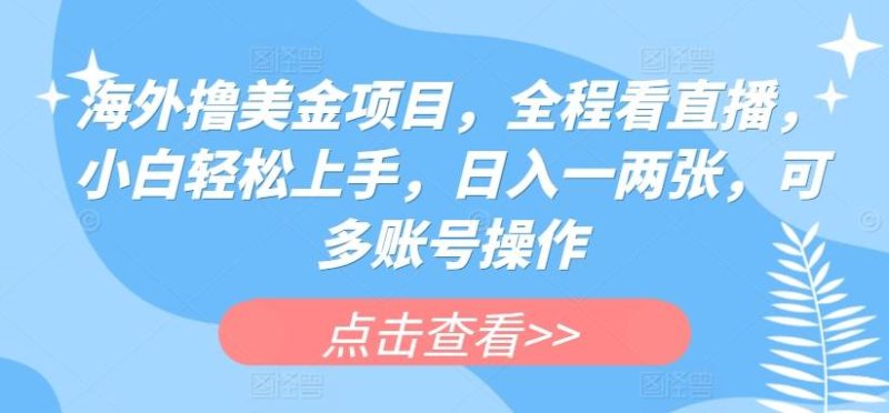 海外撸美金项目，全程看直播，小白轻松上手，日入一两张，可多账号操作【揭秘】-云创智库