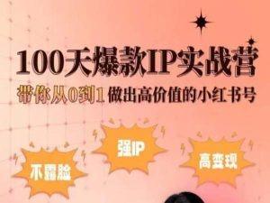小红书100天爆款IP实战营，带你从0到1做出高价值的小红书号-云创智库