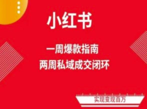 爆款小红书免费流量体系课程(两周变现)，小红书电商教程-云创智库
