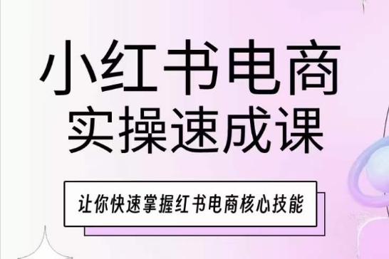 小红书电商实操速成课，让你快速掌握红书电商核心技能-云创智库
