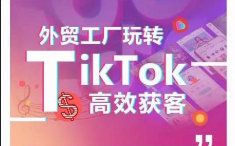 外贸工厂玩转TikTok高效获客，多种引流方式与账号定位技巧，拆解爆款短视频打造成功案例-云创智库