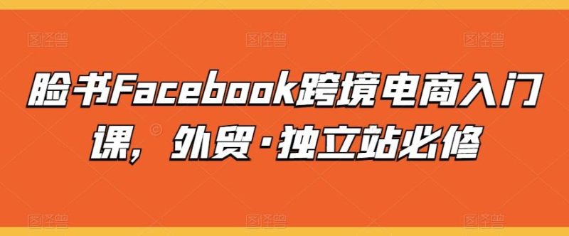 脸书Facebook跨境电商入门课，外贸·独立站必修-云创智库